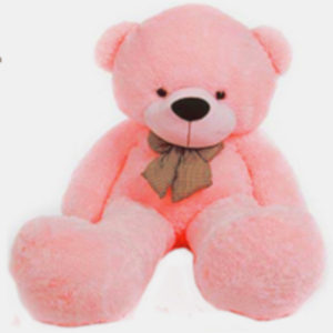 Teddy Bear Pink