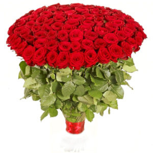 100 Premium Red Roses Bouquet