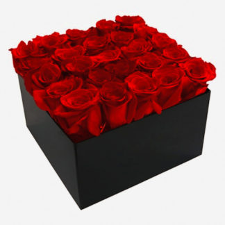 Small Red Roses Square Box